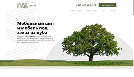 example